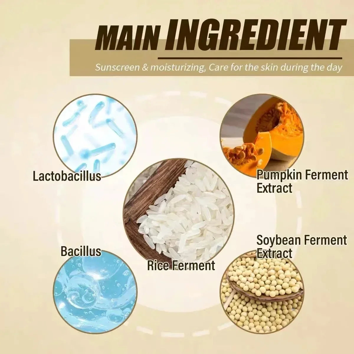 Efero Korean Rice Probiotics Sunscreen SPF 50+ - Hydrating & Oil Control